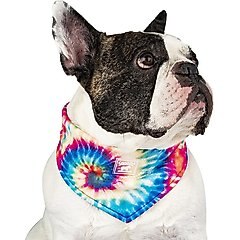 Canada Pooch Tie Dye Cooling Dog Bandana, Medium