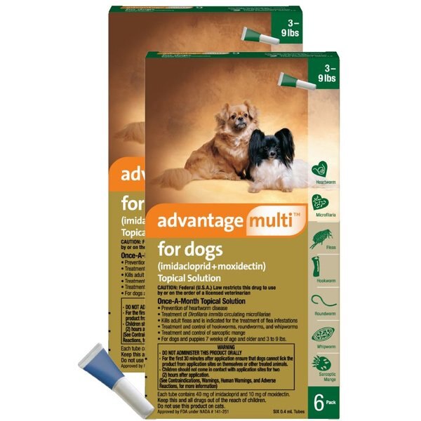 can i use advantage ii for cats on my dog