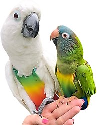 Avian Fashions FeatherWear FlightSuit Bird Diaper, Rainbow, Petite, 1 slide 1 of 7