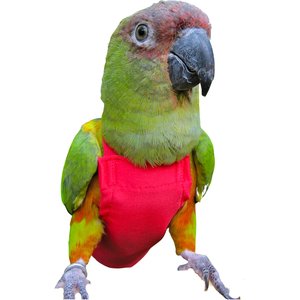 Avian Fashions FeatherWear FlightSuit Bird Diaper, Red, Petite(1)