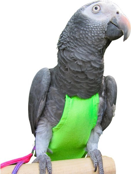 Avian Fashions FeatherWear FlightSuit Bird Diaper