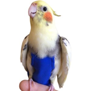 Avian Fashions FeatherWear FlightSuit Bird Diaper, Blue, X-Wide(9)