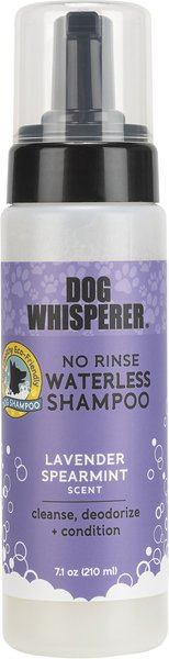 Dog Whisperer No Rinse Waterless Lavender Spearmint Dog Shampoo, 7.1-oz bottle slide 1 of 2