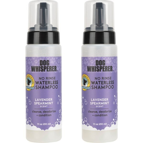 DOG WHISPERER No Rinse Waterless Lavender Spearmint Dog Shampoo, 7.1fl
