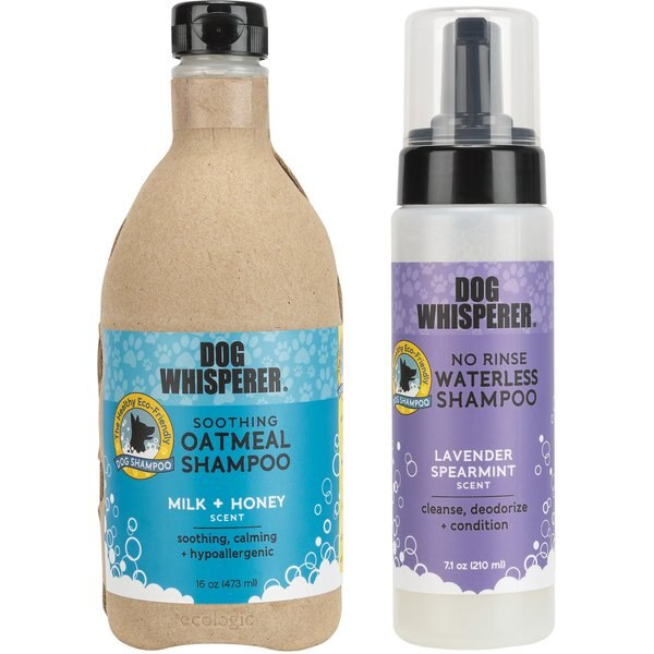 PAWS & PALS Oatmeal, Sweet Basil & Turmeric Shampoo, 20oz bottle