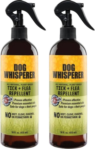 Dog Whisperer Dog Whisperer Dog Flea & Tick Repellent, 16-oz bottle, case of 2 slide 1 of 2