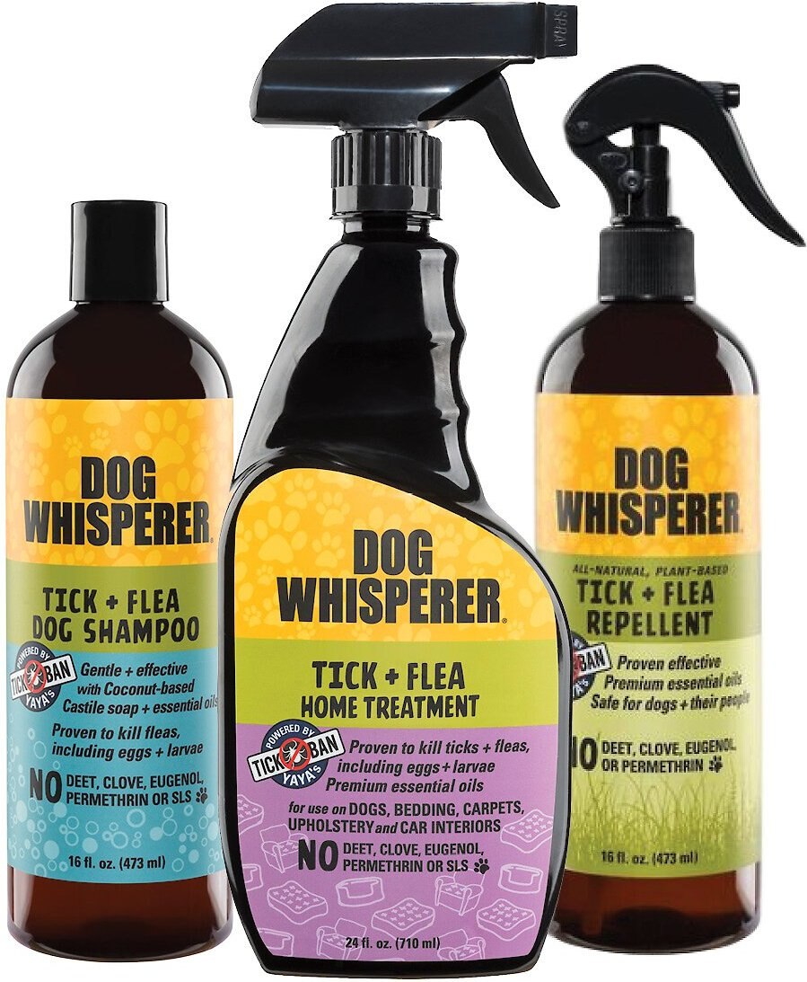 DOG WHISPERER Flea & Tick Combo Pack, 3 count