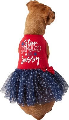 Wagatude Star Spangled & Sassy Dog Dress, slide 1 of 1