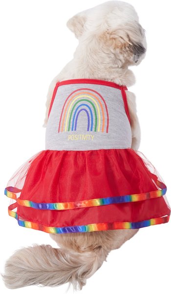 Wagatude Rainbow Positivity Dog Dress, XX-Small slide 1 of 4