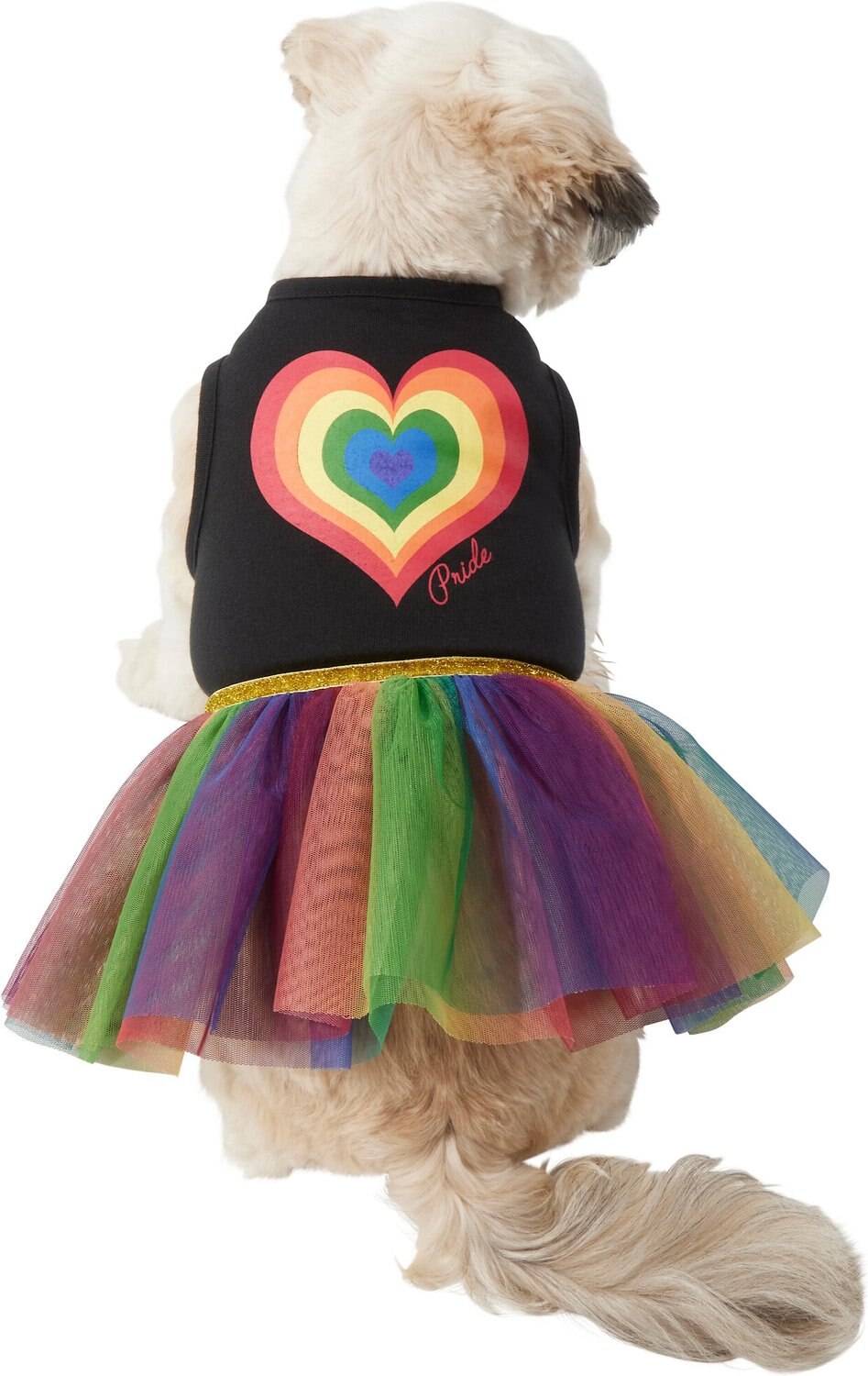 dog rainbow outfit