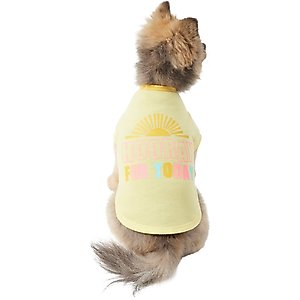 Wagatude Hooray for Today Dog T-Shirt, X-Large