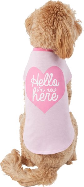 Wagatude Hello I'm New Here Dog T-Shirt, Small slide 1 of 4