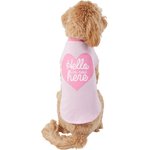 Wagatude Hello Ladies I'm Here Dog T-Shirt