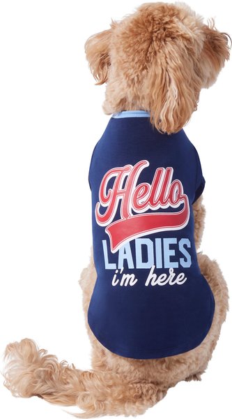 Wagatude Hello Ladies I'm Here Dog T-Shirt, Medium slide 1 of 4