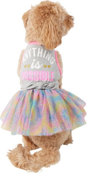 Wagatude Anything Is Possible Dog Dress, 3X-Large slide 1 of 4