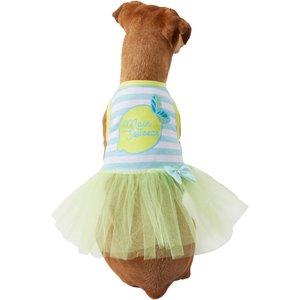 Wagatude Main Squeeze Dog Dress, X-Small