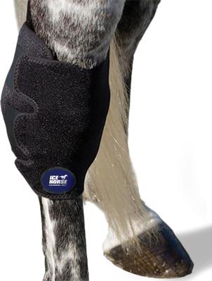 Show full view: Ice Horse Horse Hock Wrap slide 2 of 5