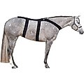 Ice Horse Back Horse Blanket