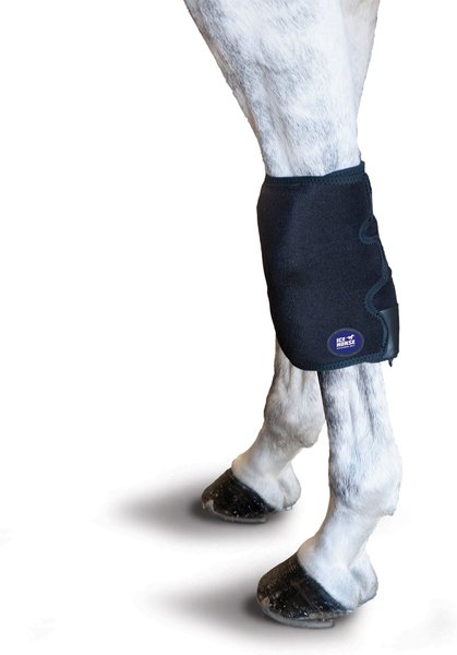 Ice Horse Horse Knee Wrap, 2 count slide 1 of 2