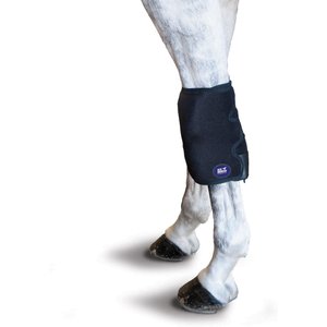 Ice Horse Horse Knee Wrap, 2 count