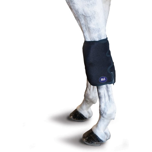 Ice Horse Horse Hock Wrap