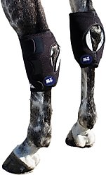 Ice Horse Hock Horse Wrap, 2 count