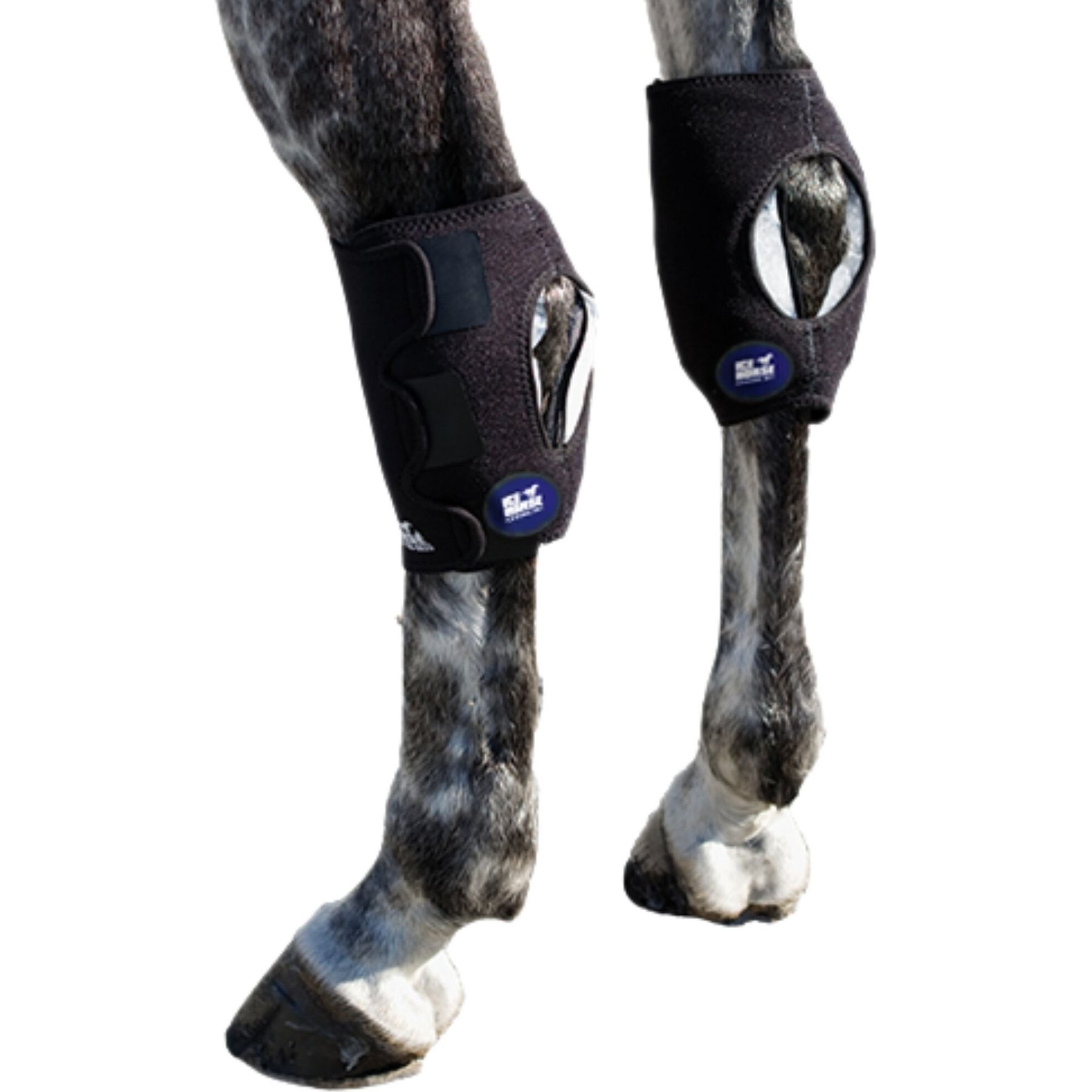 Ice Horse Hock Wrap, Pony Size, 2 count