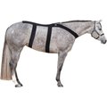 Ice Horse Back Horse Blanket, Small
