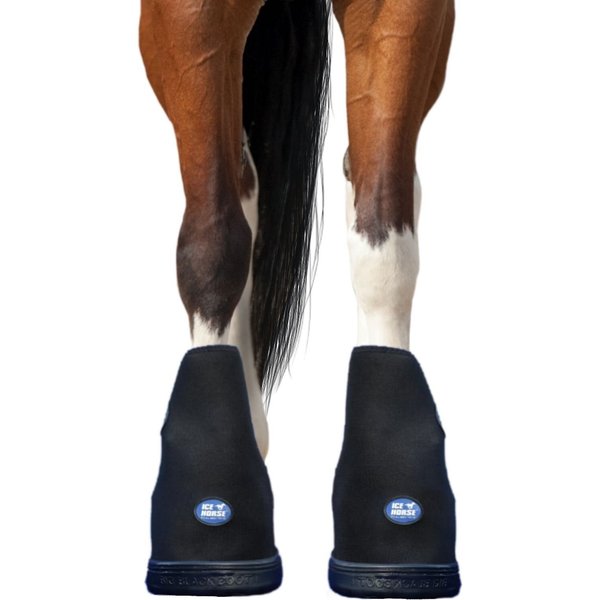 ICE HORSE Single Laminitis Pro Therapy Horse Boot, Large, 2 count