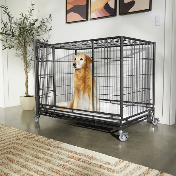 Frisco Ultimate Lightweight Heavy Duty Foldable & Stackable Steel Metal Single Door Dog Crate, X-Large: 48-in L x 33-in W x 38-in H slide 1 of 9