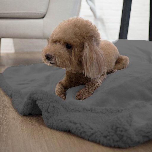 PetAmi Waterproof Dog Blanket, Charcoal Gray, Medium
