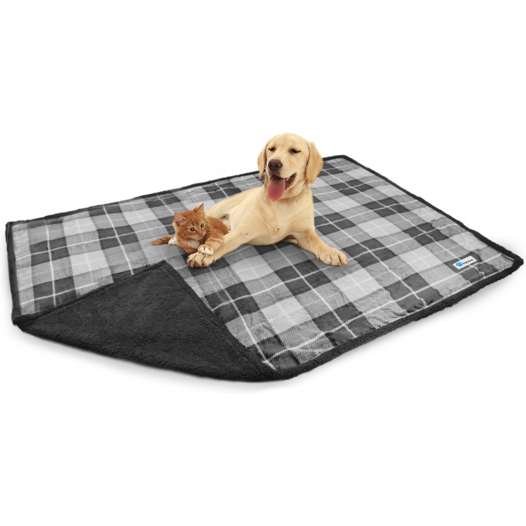 Chewy on sale dog blanket