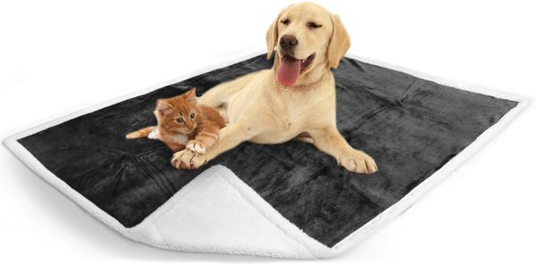 How big is discount 60 x 80 blanket