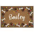 Custom Personalization Solutions Chewy Exclusive Christmas Lights Personalized Dog & Cat Placemat, Natural