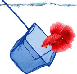 SunGrow Safe Aquarium Cleaning Fine Mesh Betta Fish Net