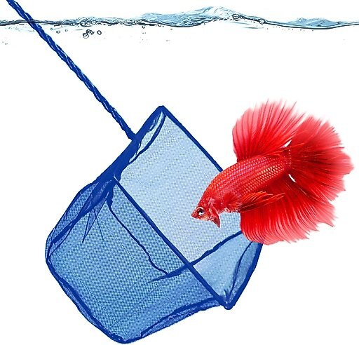 SunGrow Safe Aquarium Cleaning Fine Mesh Betta Fish Net