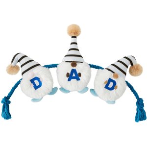 Frisco Dad Gnome Plush with Rope Dog Toy
