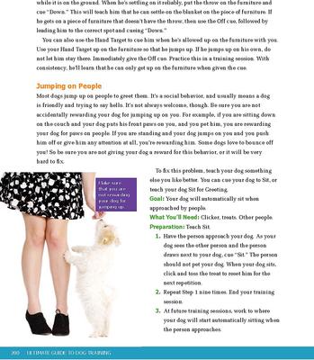 Show full view: Ultimate Guide to Dog Training: Puppy Training to Advanced Techniques slide 5 of 8