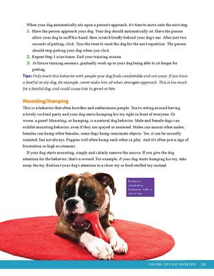 Show full view: Ultimate Guide to Dog Training: Puppy Training to Advanced Techniques slide 6 of 8