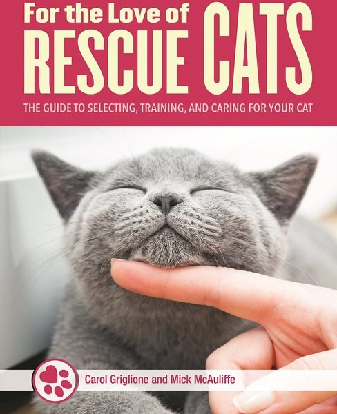 For the Love of Rescue Cats slide 1 of 8