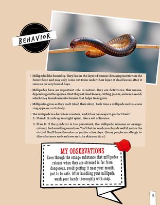 Show full view: Can I Keep It? Small Pets Guide slide 4 of 8