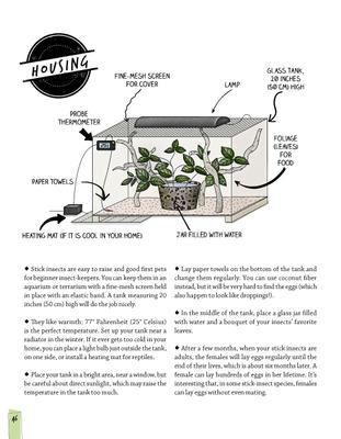 Show full view: Can I Keep It? Small Pets Guide slide 5 of 8