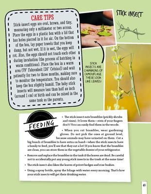 Show full view: Can I Keep It? Small Pets Guide slide 6 of 8