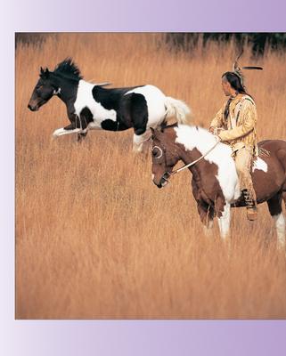 Show full view: Horse, Follow Closely slide 7 of 8