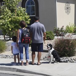 Pet Evac Pak Big Dog Pak Pet Emergency Kit slide 2 of 9