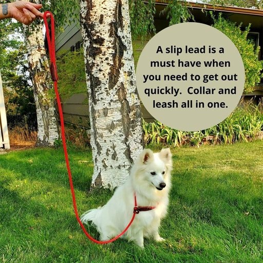 Pet Evac Pak Small & Medium Dog Pak Pet Emergency Kit