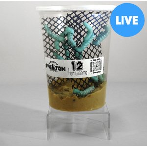 Symton Hornworms Reptile Food, 12 count