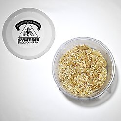 Symton Waxworms Reptile Food, 50 count slide 2 of 4