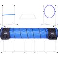 Better Sporting Dogs 5 Piece Complete Starter Dog Agility Set