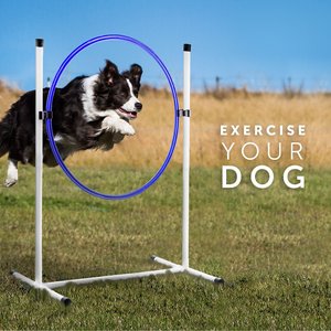 Better Sporting Dogs 7 Piece Deluxe Dog Agility Equipment Set